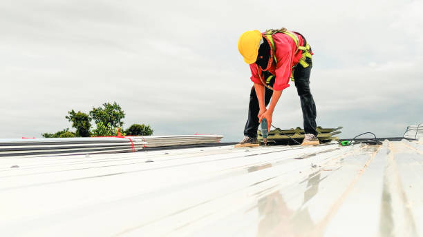Best Asphalt Shingles Roofing  in Holly, MI